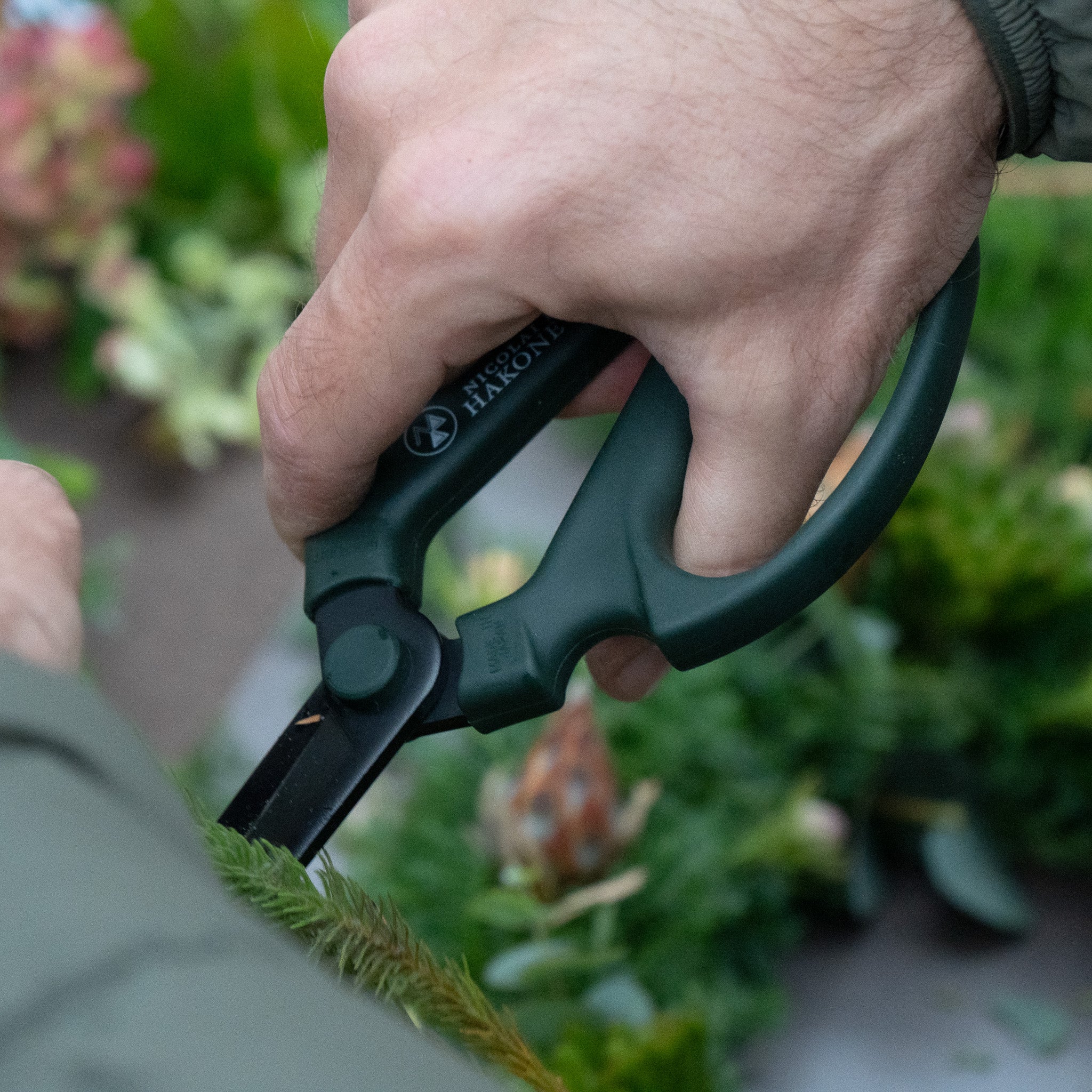 ニコライ バーグマン 箱根 ガーデンズ オリジナルシザー