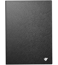 Amazon.co.jp: iFLYTEK AINOTE Air 2 電子ペーパー用 保護ケース 8.2