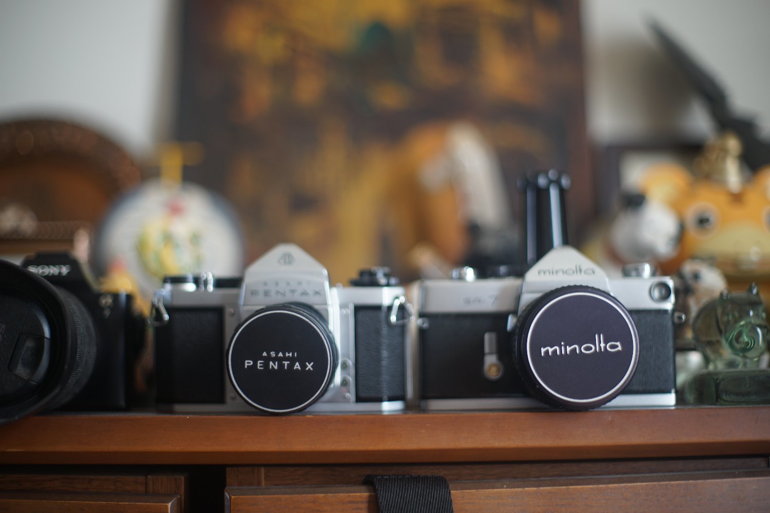 SMC ペンタックス 50mm F1.4 で 遊びましょ : nakajima akira's photobook