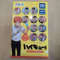 2026年最新】ハイキュー カラパレ より道の人気アイテム - メルカリ